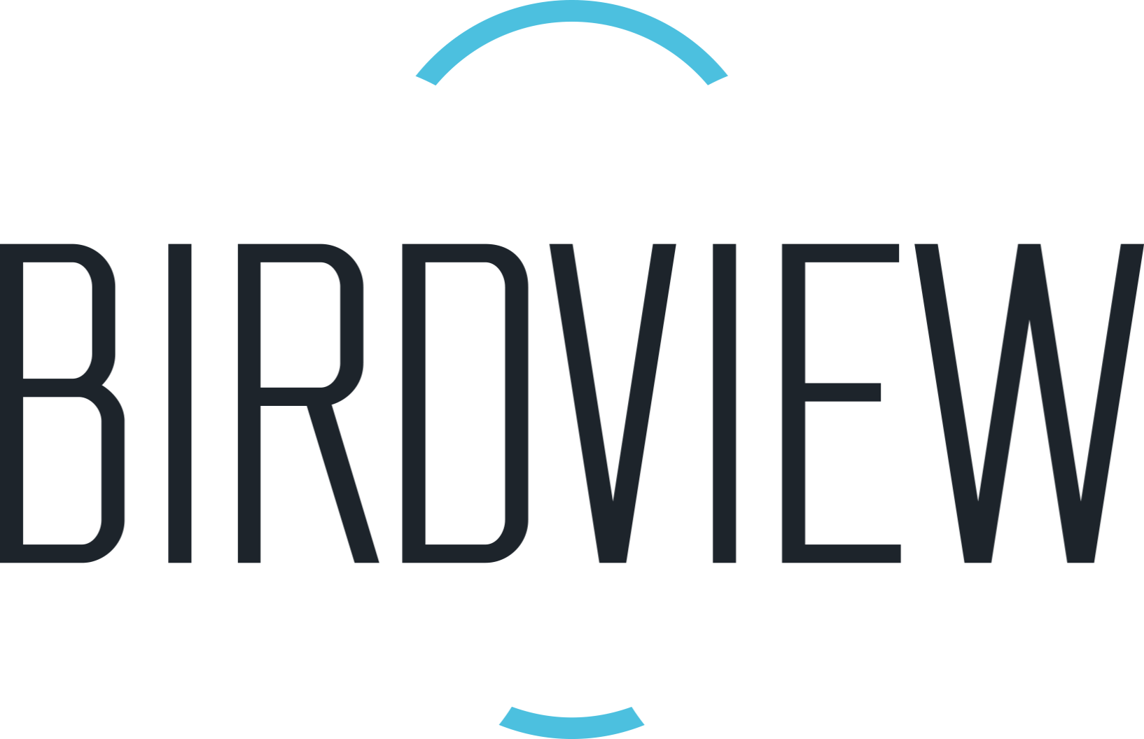 Birdview logo